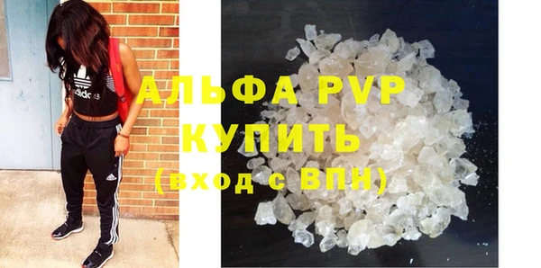 твердый Аркадак