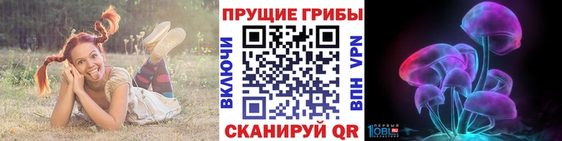 Галлюциногенные грибы GOLDEN TEACHER  Советск 